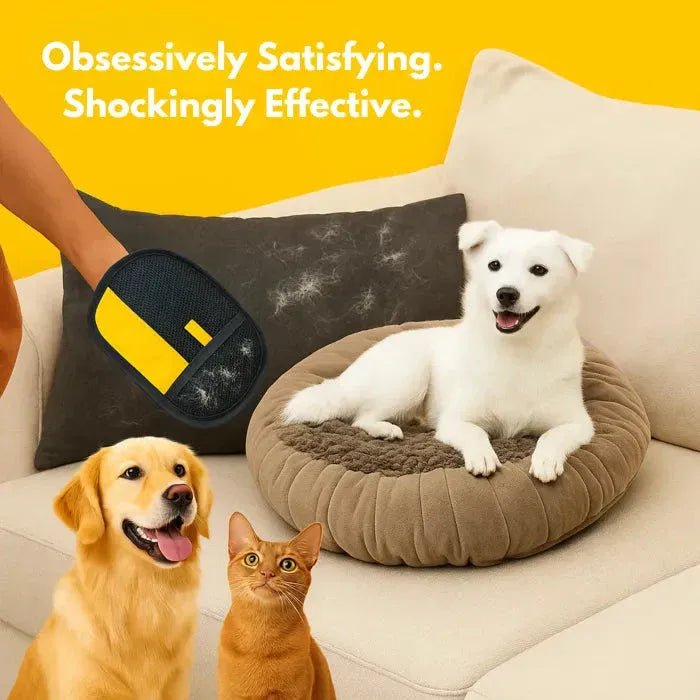 The Magic Brush™ - Buy 1 Get 1 Free