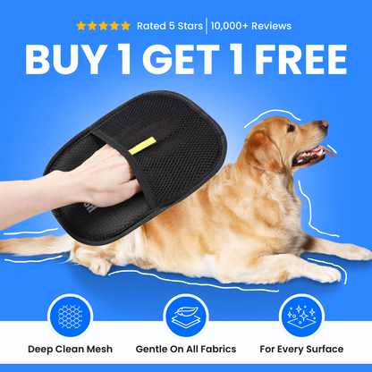 The Magic Brush™ - Buy 1 Get 1 Free
